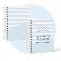 Caderneta de Saúde e Vacinação Personalizada com Capa Dura - Neutro Azul - comprar online