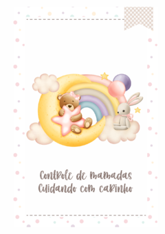 Caderneta de Saúde e Vacinação Personalizada com Capa Dura - Ursinha Baby Céu na internet