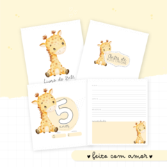 Álbum de Fotos e Recordações / Livro do Bebê - Girafinha - comprar online