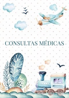 Caderneta de Saúde e Vacinação Personalizada com Capa Dura - Trenzinho - comprar online