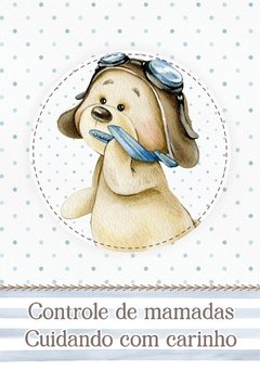 Imagem do Caderneta de Saúde e Vacinação Personalizada com Capa Dura - Ursinho Aviador
