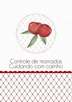 Caderneta de Saúde e Vacinação Personalizada com Capa Dura - Cereja - loja online