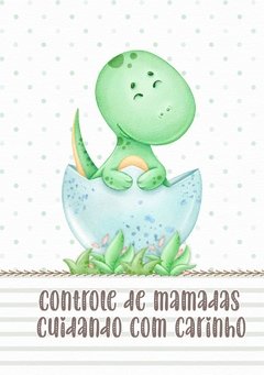 Caderneta de Saúde e Vacinação Personalizada com Capa Dura - Dino Baby - comprar online