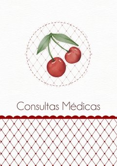 Caderneta de Saúde e Vacinação Personalizada com Capa Dura - Cereja - comprar online