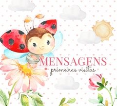 Imagem do Albúm de Fotos e Recordações / Livro do Bebê Joaninha II