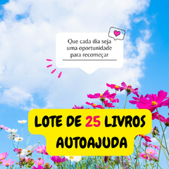 Lote 25 livros usados de autoajuda