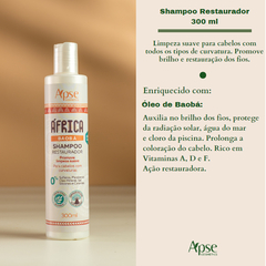 Shampoo Restaurador Apice África Baobá 300ml - comprar online