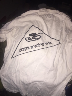 Camiseta IDF Forças de Defesa de Israel Armour Battalion 445 NOVA, Tam: L - comprar online
