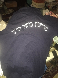 Camiseta Instrutor físico IDF Forças de Defesa de Israel NOVA, Tam: M - comprar online