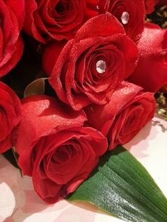 Mega ramo de 60 rosas tallo largo DELUXE!!! en internet