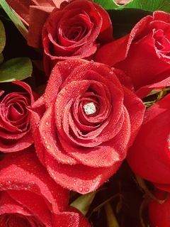 Imagen de Mega ramo de 60 rosas tallo largo DELUXE!!!