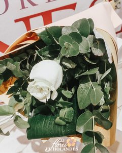 Rosa de tallo largo Blanca (Con mix de follajes y verde)