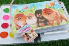 15 estojos de pintura lembrancinha Cachorrinhos Lulu da Pomerânia com 31 itens completo - comprar online