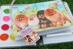 Kit com 8 estojos de pintura lembrancinha Cachorrinhos Lulu da Pomerânia com 31 itens completo - comprar online