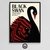 Cuadro Cisne Negro Black Swan Poster Cine 30x40 Slim