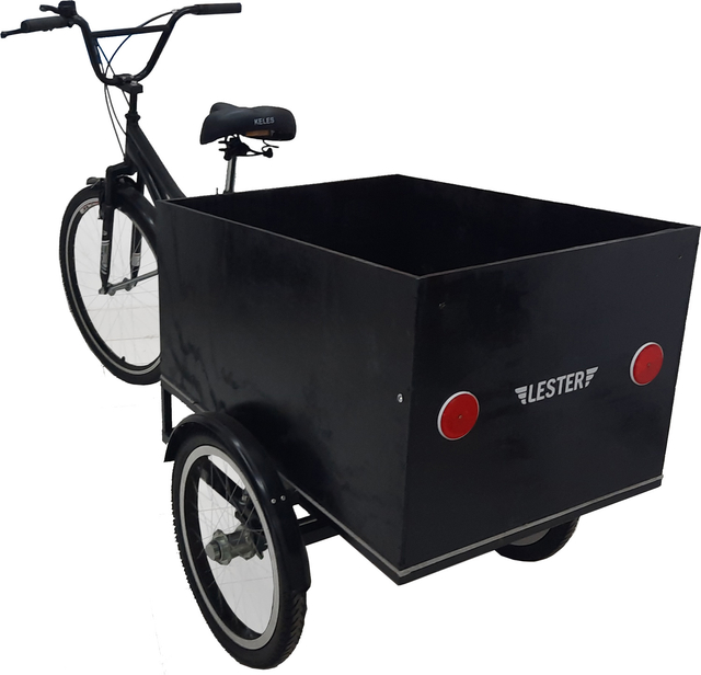 Triciclo Carga Trasera Transporte de niños - comprar online