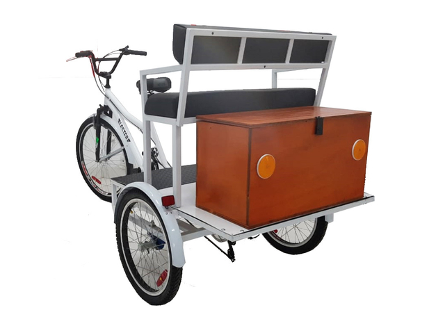 Triciclo Adaptado Butaca Doble Trasera - comprar online