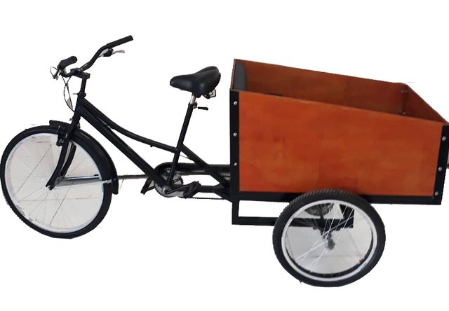 Triciclo Carga Trasera Transporte de niños - Lester Bikes