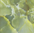 MA06 - Verde - Lamina Hydroprint Tradicional - 1.00m