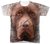 Camiseta Cachorro REF 077