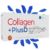 Collagen Plus D - Dolor Articular!- Colágeno Hidrolizado - comprar online