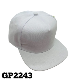 GP 2243