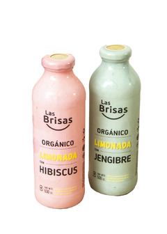 Limonada Orgánica con jengibre "Las Brisas" - comprar online