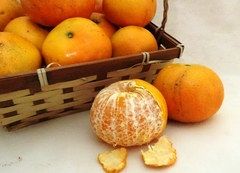 Mandarina Agroecológica