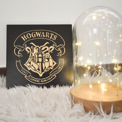 Cuadro Hogwarts Pequeño - Doin Diseño