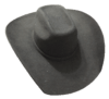 Chapéu Eldorado Ref. 30305 na internet
