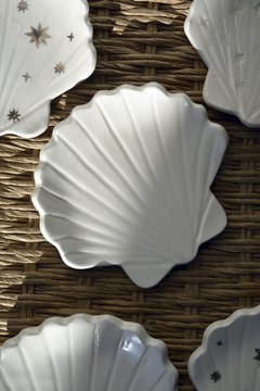 Shelldish Blanca - tienda online