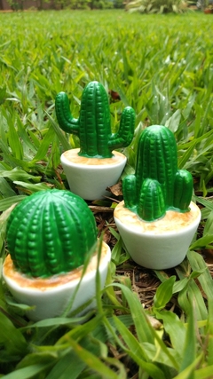 Trio de cactos decorativo - comprar online