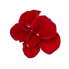 Flores Comestíveis - Pétalas de Rosas (embalagem de 125g)