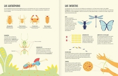 Insectopedia en internet
