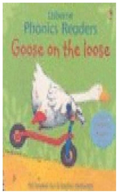 goose on the loose (usborne phonics readers) phil roxbee cox