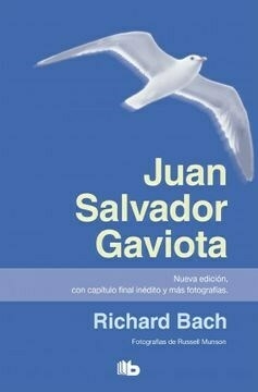 juan salvador gaviota