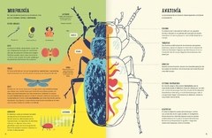 Insectopedia - Ponsatti Libros