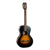Guitarra Acústica Cort AP 550 Tipo Criolla con Funda