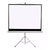 Pantalla Manual de 75" Loch MS-75 (blanco)