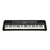 Teclado 5 Octavas Yamaha PSR E-273 stereo en internet