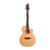 Guitara Acústica Breedlove DSC21CE Discovery Concert c/Funda c/Eq