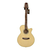 Guitarra Acústica Takamine EG-260C