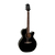 Guitarra Acústica Takamine EG 481 T/CPX SCX Con Ecualizador