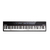 Piano Digital Portatil Alesis Recital - 88 Notas - Teclas Semipesadas