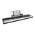 Piano Digital Portatil Alesis Recital - 88 Notas - Teclas Semipesadas - comprar online