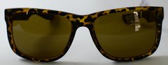 Óculos Solar New Glasses NG 1003 - comprar online