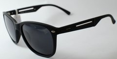 Óculos Solar New Glasses NG PB08305