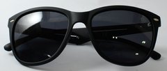Imagem do Óculos Solar New Glasses NG PB08305