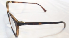 Armação para óculos de grau Grazi GZ 3072 H256 Acetato marrom havana na internet