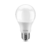 Lampada LED bulbo A60 9W bivolt 6500K luz branca fria Elgin 48BLED2F09YU